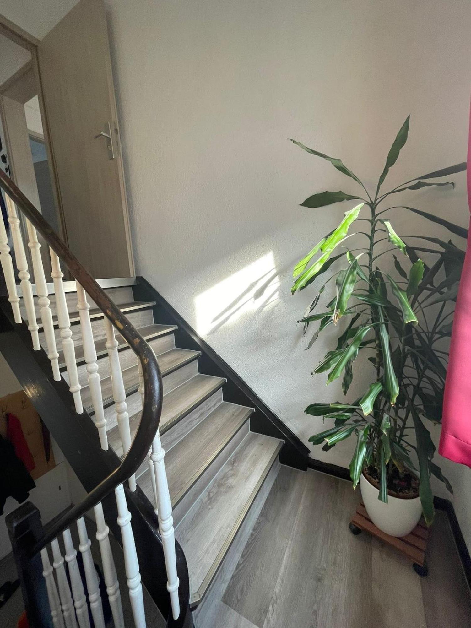 Leo Apartment Zentrum Rüsselsheim Kültér fotó